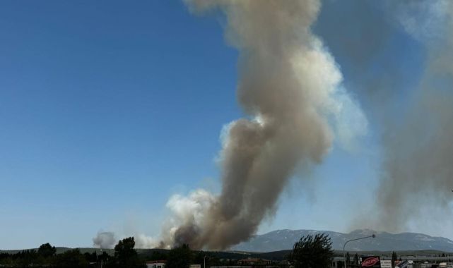İzmir ve Manisa'da orman yangını