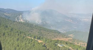 İzmir'de çıkan orman yangınına müdahale ediliyor