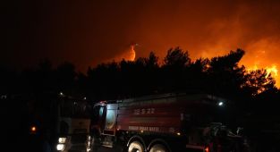 İzmir'de orman yangını