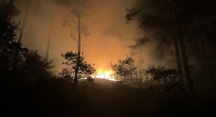 Kahramanmaraş'taki orman yangınına müdahale gece de sürüyor