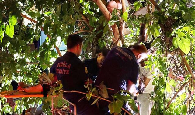 Muğla'da aracın çarptığı motosiklet sürücüsü ağaçta asılı kaldı