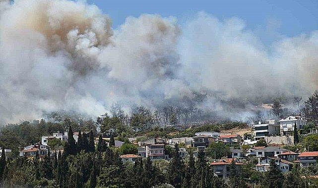 Urla ve Çeşme’de orman yangını