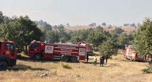 Afyonkarahisar'daki orman yangınıyla ilgili 1 gözaltı