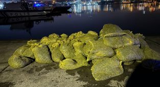 İstanbul'da ele geçirilen 2 ton kaçak midye denize bırakıldı