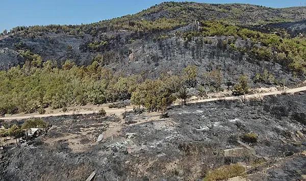 İzmir'in ciğerleri yandı