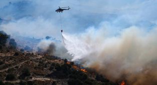 İzmir, Manisa, Muğla ve Aydın dahil dahil 7 ilde orman yangını