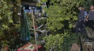 İzmir'de asırlık çınar devrildi
