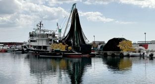 Karadenizli balıkçılar Marmara'da vira bismillah diyecek