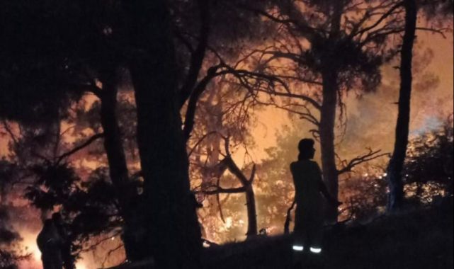 Karşıyaka'da orman yangını