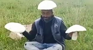 Kars'ta dev mantarlar görenleri şaşırttı