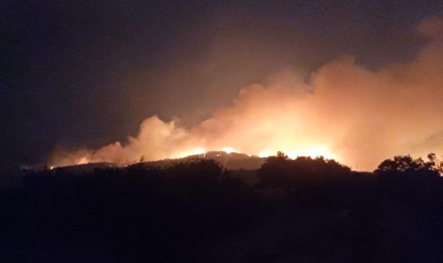 Manisa'da orman yangınları: 1440 kişi tahliye edildi