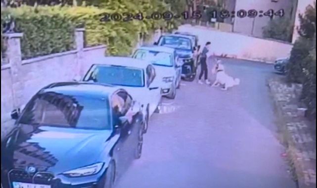 Kangalın saldırdığı köpek öldü: Sahibi kalp krizi geçirdi