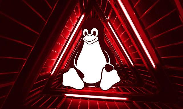 Mallox Fidye Yazılımının Linux Varyantı Ortaya Çıktı: Kryptina Kodundan Türetildi