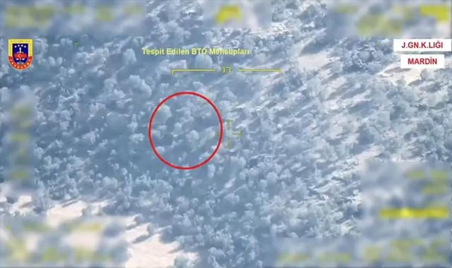 Mardin kırsalında 2 terörist etkisiz hale getirildi