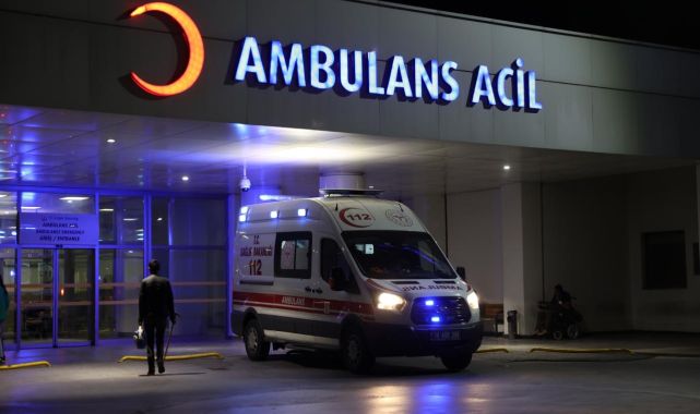 Niğde'de sahipsiz köpeğin saldırdığı kadın ağır yaralandı