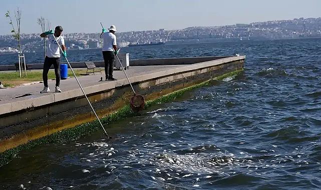 İzmir'de deniz neden kötü kokuyor? İzmir Körfezi'nde kirlilik azaldı mı?