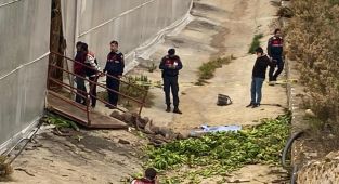 Alanya'da muz serasındaki raylı sistemin halatı koptu: 2 ölü, 2 yaralı