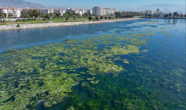 Bakanlıktan yeni proje: İzmir Körfezi nefes alacak