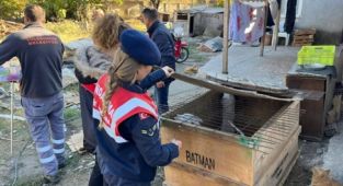 Yasaklı ırk köpek besleyen kişiye 317 bin lira ceza
