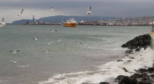 Tekirdağ'da deniz ulaşımına poyraz engeli