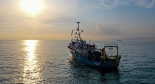 Bakanlık'tan Marmara'ya kıyısı olan belediyelere müsilaj uyarısı