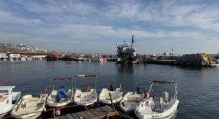 Balıkçılar yeni yılda hamsi ve çinekoptan umutlu