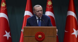 Cumhurbaşkanı Erdoğan'dan belediyelere başıboş köpek uyarısı: Görevinizi yapın