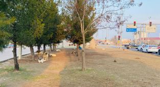 Diyarbakır'da sokak köpekleri 5 yaşındaki çocuğu kafasından yaraladı