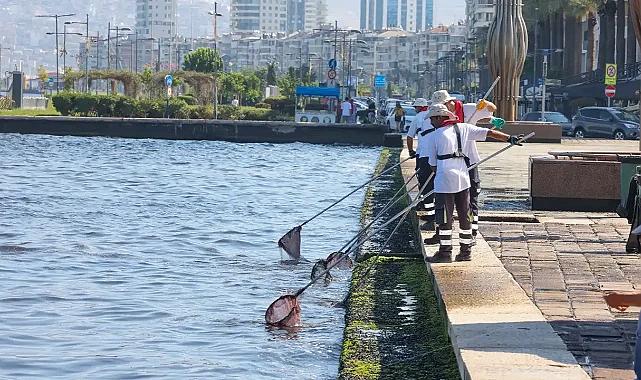 İzmir Körfezi Balıklarında Mikroplastik Alarmı