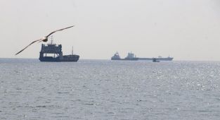 Marmara Denizi'ndeki kirliliğe yüzer bitki adaları çözümü