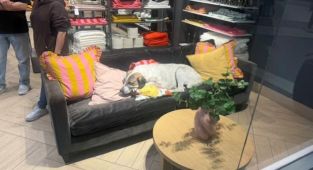 Karşıyaka'da dehşet. . AVM'deki başıboş köpek 3 yaşındaki kız çocuğuna saldırdı