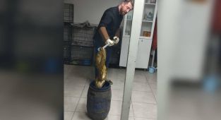 Yolcu otobüsündeki kutunun içinden piton çıktı