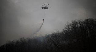 Güney Kore'de orman yangınına müdahale sırasında düşen helikopterin pilotu öldü