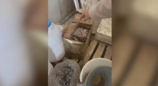 Konya'da sağlığa zararlı yaklaşık 50 ton peynir imha edildi