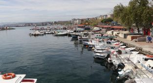 Tekirdağlı balıkçılar umduğunu Karadeniz'de buldu