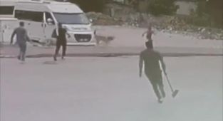 Adana'da başıboş köpekler çocuklara saldırdı