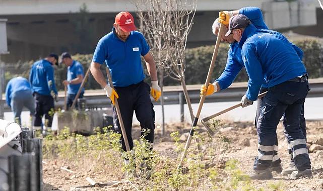 İzmir 'daha yeşil' olacak