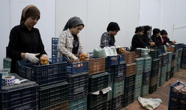 TKDK'den depremzede girişimcilere 200 milyon liralık destek