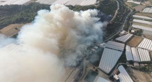 Antalya'da 2 ayrı noktada orman yangını