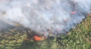 Antalya'da iki bölgede orman yangını çıktı