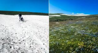 Ardahan'da yaz ve kış bir arada