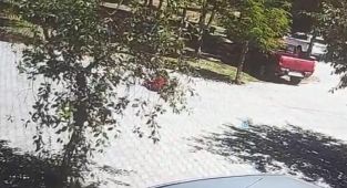 Başıboş köpeklerin saldırdığı çocuk vatandaşın yardımıyla kurtarıldı