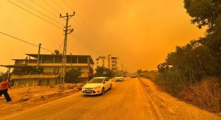 Hatay'da ormanlık alanda yangın çıktı