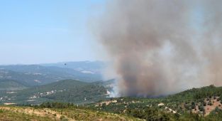 Manisa'da orman yangınına neden olan kişi tutuklandı