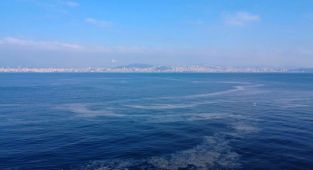 Marmara Denizi'nde ara tabakadaki müsilaj yoğunluğu sürüyor