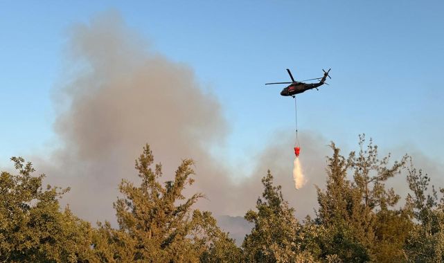 Bursa'da çıkan orman yangını kontrol altında
