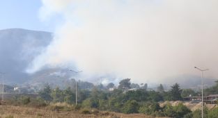 Hatay'da orman yangınına havadan ve karadan müdahale ediliyor