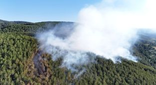Ilgaz'daki orman yangını kontrol altına alındı