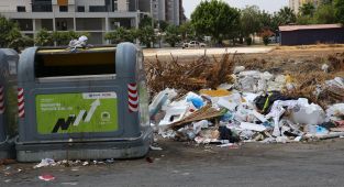 Adana'da vatandaşların çöp tepkisi: Evlerimizden böcek çıkıyor