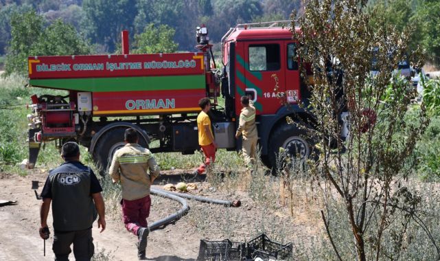Alev savaşçıları Bilecik'teki orman yangınında adeta canlarını dişlerine taktı